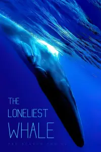 Poster to the movie "The Loneliest Whale: The Search for 52" #1021006