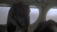 Backdrop to the movie "Jurassic Park III" #740387