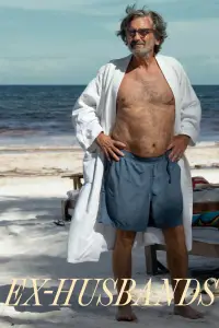 Poster to the movie "Ex-Husbands" #1078134