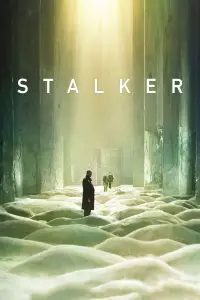 Poster to the movie "Stalker" #734145