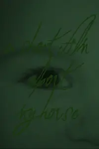 Poster to the movie "A Short Film About My House" #870096