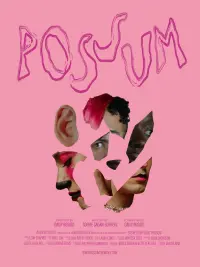 Poster to the movie "Possum" #701773