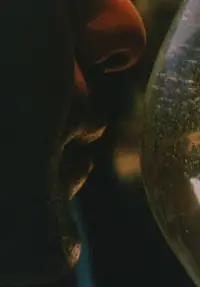 Poster to the movie "Early Monthly Segments" #892375