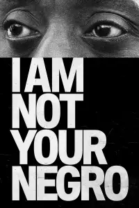 Poster to the movie "I Am Not Your Negro" #1107635