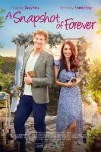 Poster to the movie "A Snapshot of Forever" #969603