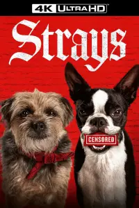 Poster to the movie "Strays" #958825