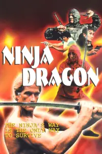Poster to the movie "Ninja Dragon" #1176943