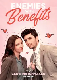 Poster to the movie "Enemies With Benefits" #1077062