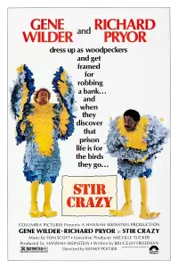 Poster to the movie "Stir Crazy" #1029634