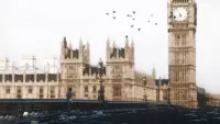Backdrop to the movie "28 Days Later" #801073