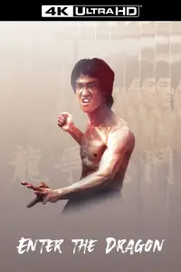 Poster to the movie "Enter the Dragon" #681466