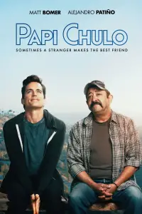Poster to the movie "Papi Chulo" #1163906