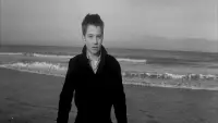 Backdrop to the movie "The 400 Blows" #677802