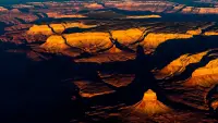 Backdrop to the movie "Into the Grand Canyon" #697843