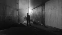Backdrop to the movie "Panic in the Streets" #798880