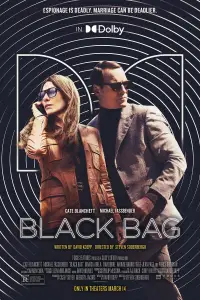 Poster to the movie "Black Bag" #903964