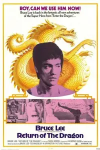 Poster to the movie "The Way of the Dragon" #948165