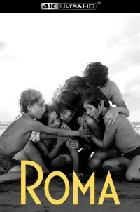 Poster to the movie "Roma" #984288