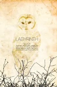 Poster to the movie "Labyrinth" #121820