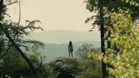 Backdrop to the movie "Companion" #689325
