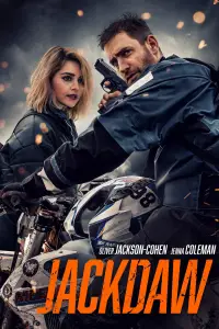 Poster to the movie "Jackdaw" #528936