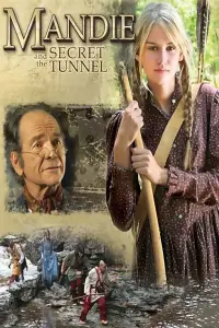 Poster to the movie "Mandie and the Secret Tunnel" #1191068