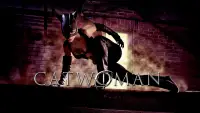 Backdrop to the movie "Catwoman" #955081