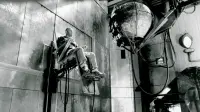 Backdrop to the movie "Twelve Monkeys" #710992