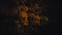 Backdrop to the movie "Queens of the Stone Age: Alive in the Catacombs" #791316