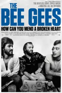 Poster to the movie "The Bee Gees: How Can You Mend a Broken Heart" #988981