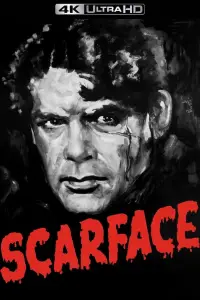 Poster to the movie "Scarface" #977708