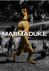 Poster to the movie "Marmaduke" #616798