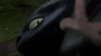 Backdrop to the movie "How to Train Your Dragon" #800918