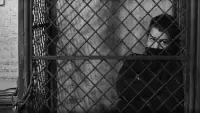Backdrop to the movie "The 400 Blows" #877385