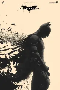 Poster to the movie "The Dark Knight" #900223