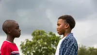 Backdrop to the movie "Moonlight" #791687