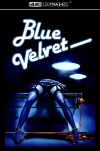 Poster to the movie "Blue Velvet" #910888