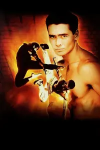 Poster to the movie "Only the Strong" #770869