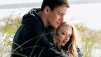Backdrop to the movie "Dear John" #808399