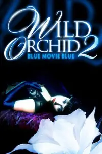 Poster to the movie "Wild Orchid II: Two Shades of Blue" #965861
