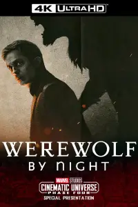 Poster to the movie "Werewolf by Night" #688148