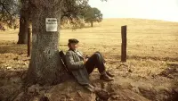 Backdrop to the movie "Scarecrow" #795614