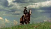 Backdrop to the movie "Open Range" #793971