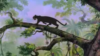 Backdrop to the movie "The Jungle Book" #753833