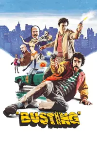 Poster to the movie "Busting" #969816