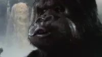 Backdrop to the movie "King Kong" #861696