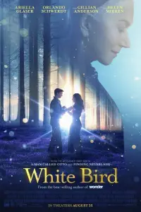 Poster to the movie "White Bird" #954203