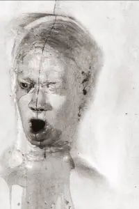 The Short Films of David Lynch