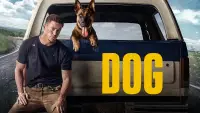 Backdrop to the movie "Dog" #956343