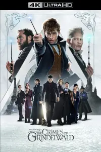 Poster to the movie "Fantastic Beasts: The Crimes of Grindelwald" #918764